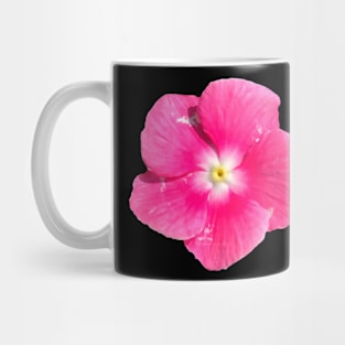 Bright Pink Flower White Yellow Center Mug